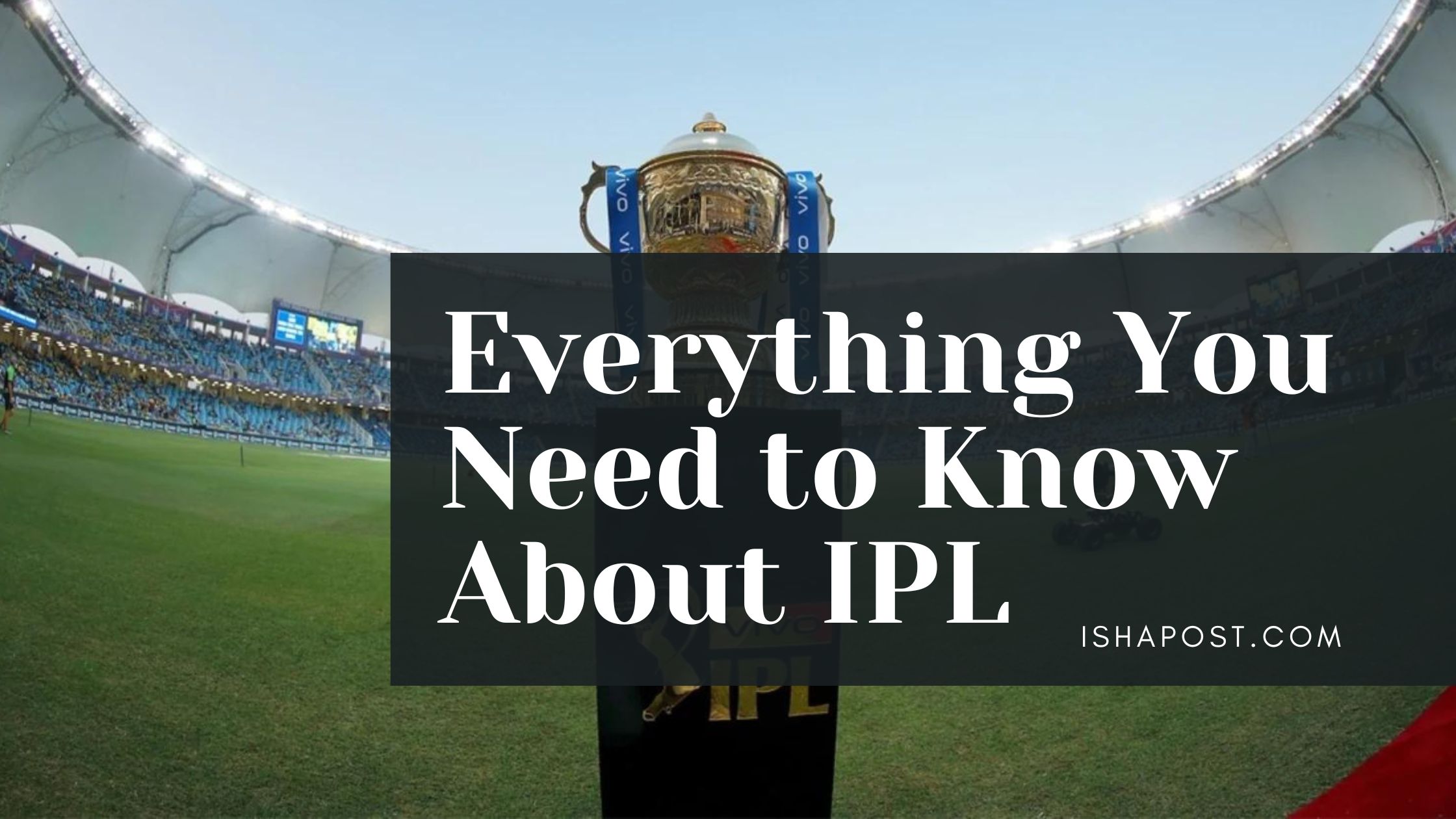 Everything You Need to Know About IPL