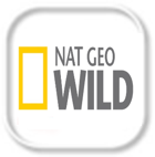 Natgeo Wild Online Gratis