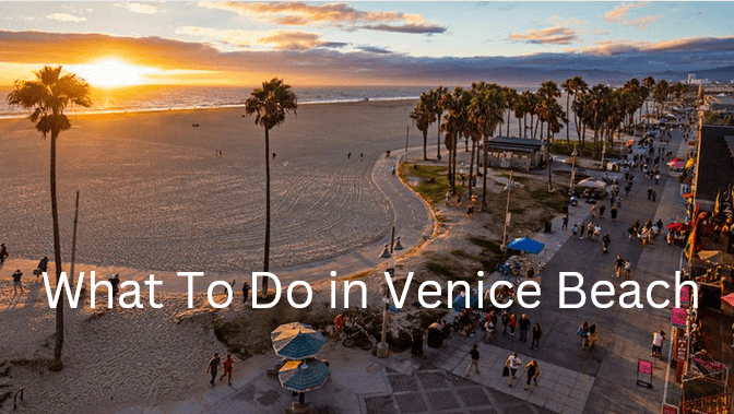 what to do in venice beach