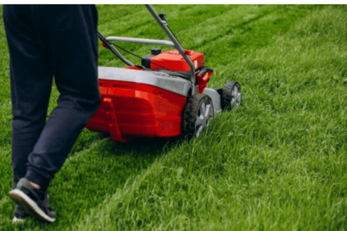 Low-Maintenance Lawn: Tips for Busy Homeowners