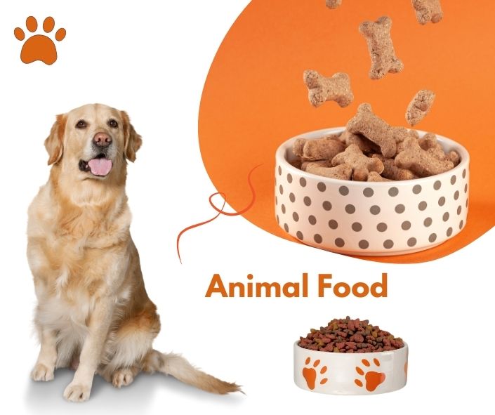 The Advantages and Contemplations of Low Carb Dog Food