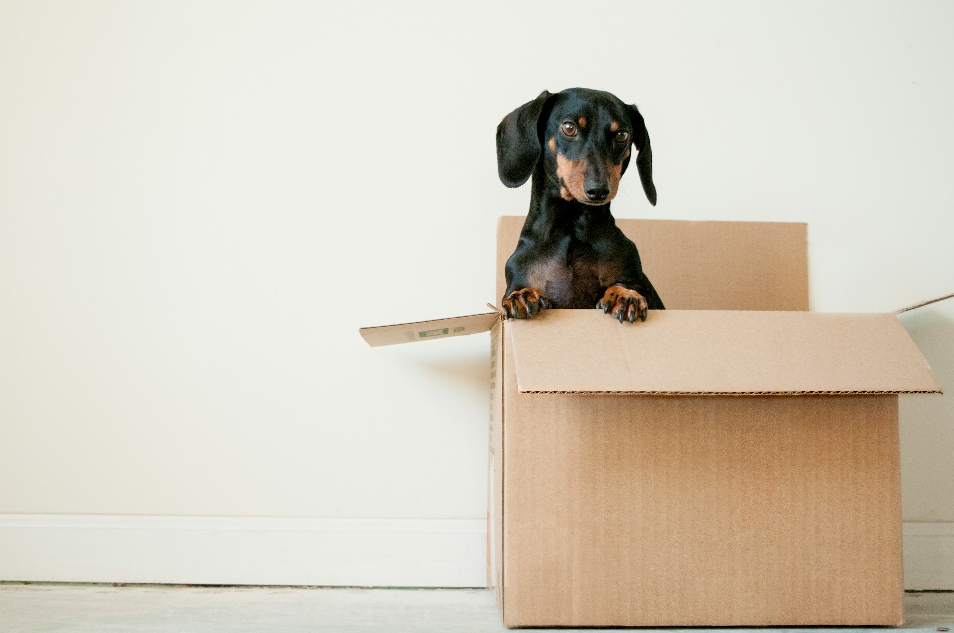 How To Reduce Stress When Moving Home